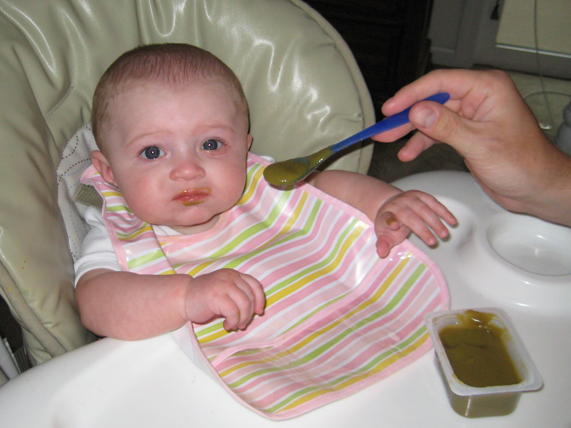 Baby being fed organic vegetable puree from a spoon