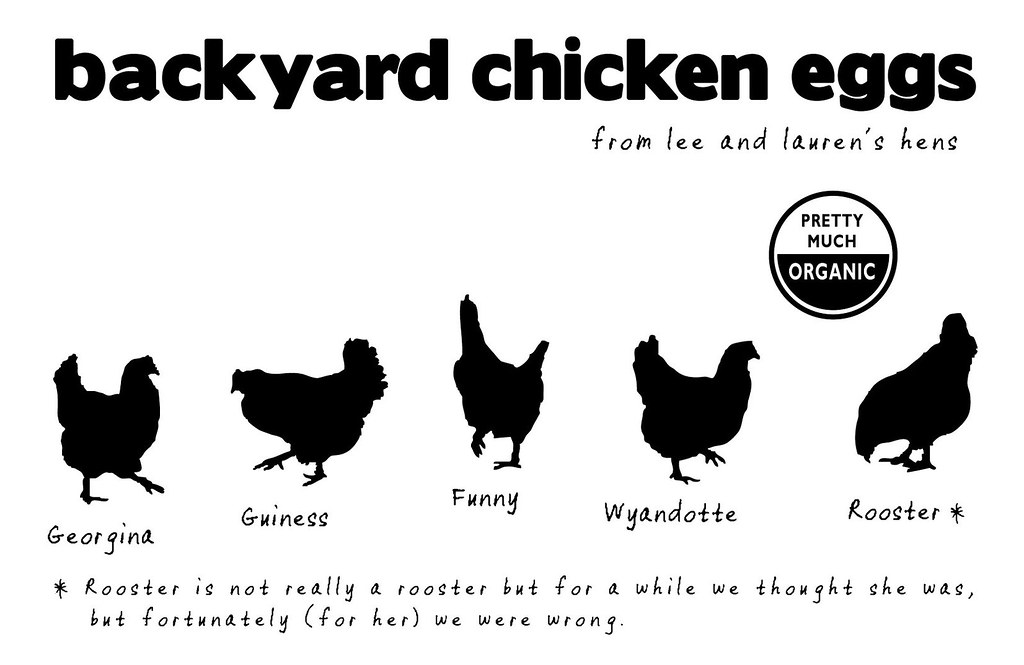 Close-up of an egg carton showing numeric stamps and organic certification logos