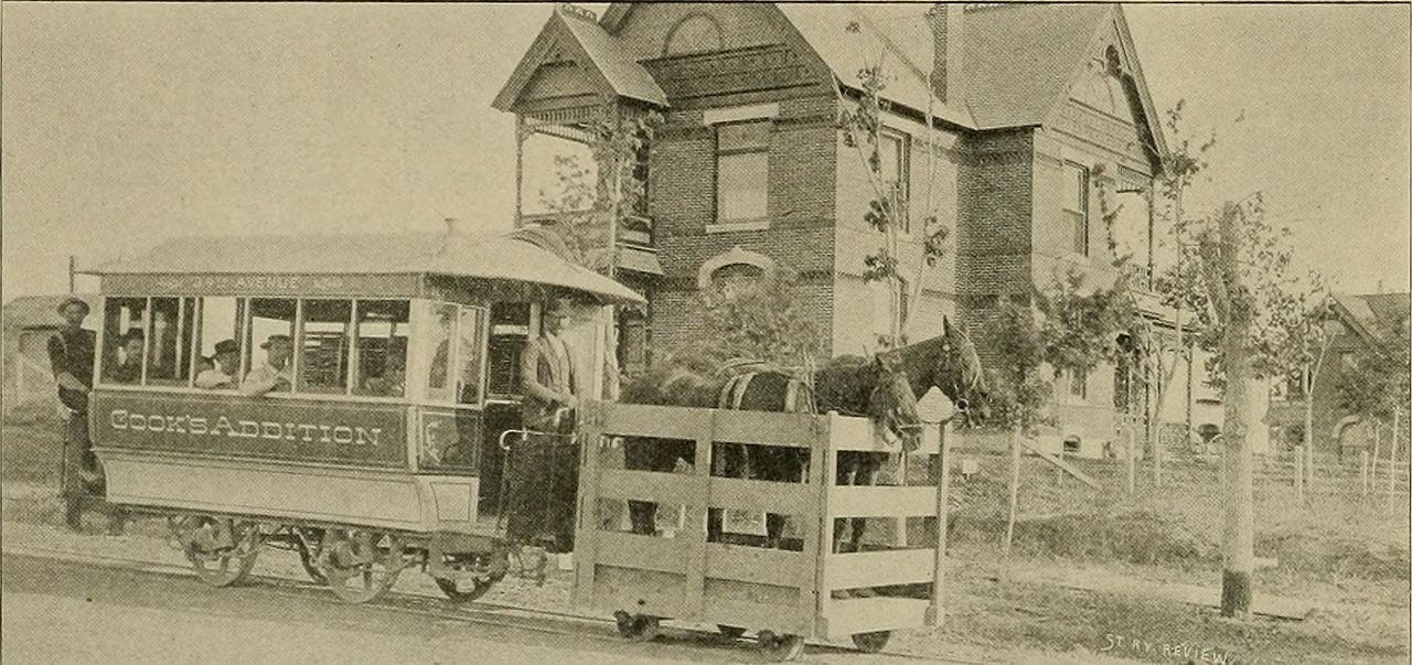 Cattle loaded into a transport truck for long-distance live transport to slaughter