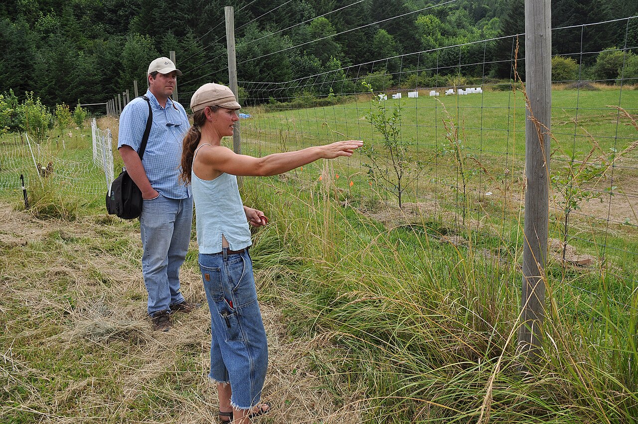 A diverse organic farm with hedgerows and mixed crop fields