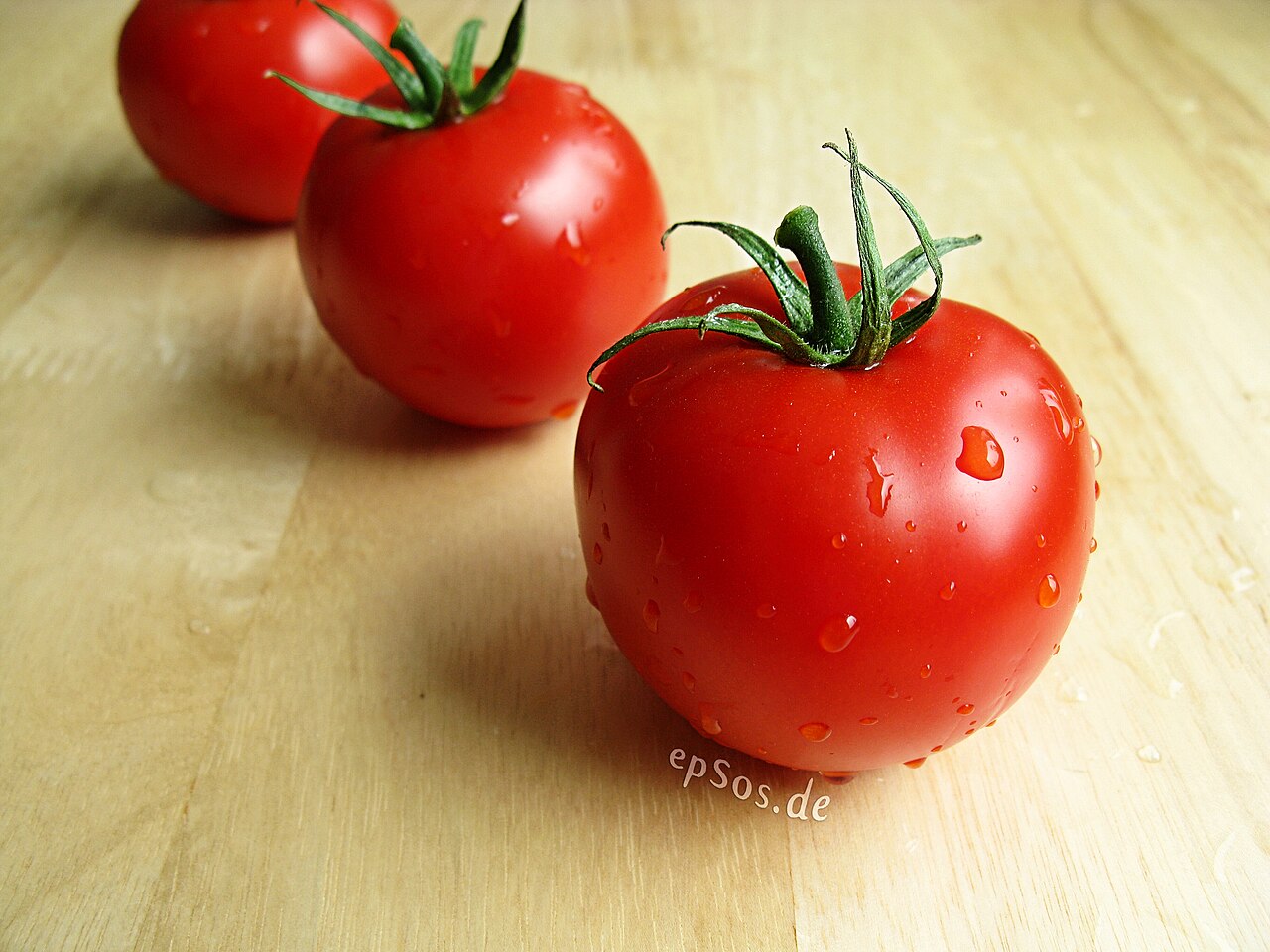 Ripe organic tomatoes freshly harvested